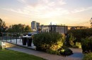 1131 Colgrove Avenue Ne, Calgary, AB 