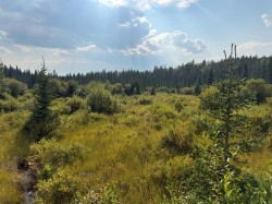 63067 Township Road 311  Rural Bighorn No. 8, M.D. Of, AB T0M 0X1