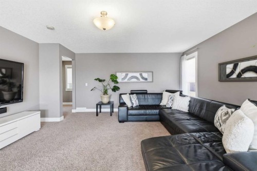 191 Springbluff Heights Sw, Calgary, AB 