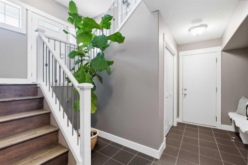 191 Springbluff Heights Sw, Calgary, AB 