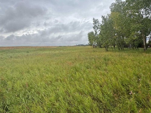 28159 Township Road 300 Township, Rural Mountain View County, AB 