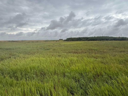 28159 Township Road 300 Township, Rural Mountain View County, AB 