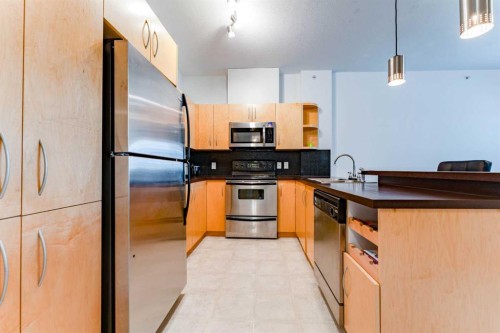314-69 Springborough Court Sw, Calgary, AB 