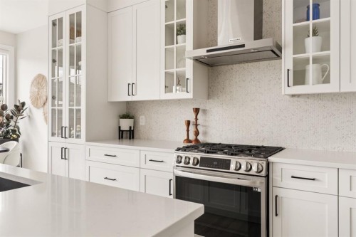 1129 Cranbrook Gardens Se, Calgary, AB - Indoor Photo Showing Kitchen With Upgraded Kitchen