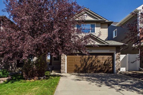 163 Panamount Circle Nw, Calgary, AB 