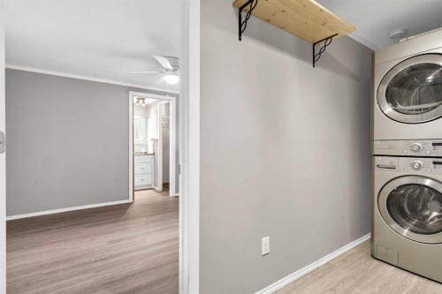 197 Spring Dale Circle Se, Airdrie, AB - Indoor Photo Showing Laundry Room