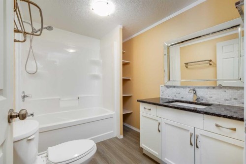 197 Spring Dale Circle Se, Airdrie, AB - Indoor Photo Showing Bathroom