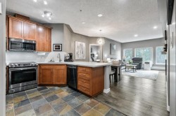 233-20 Discovery Ridge Close SW Calgary, AB T3H 5X4