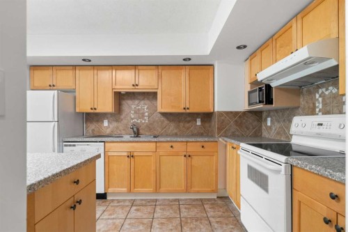 301-345 4 Avenue Ne, Calgary, AB 