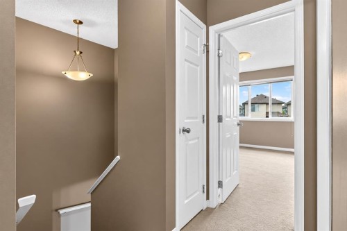11 Saddlebrook Mews Ne, Calgary, AB 