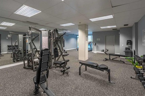 513-4944 Dalton Drive Nw, Calgary, AB 