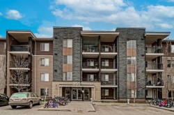 208-355 Taralake Way NE Calgary, AB T3J 0M1