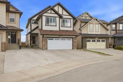 156 Skyview Shores Manor NE Calgary, AB T3N 1B4