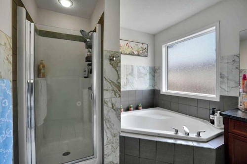 161 Saddleland Crescent Ne, Calgary, AB 
