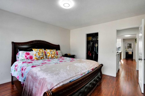 161 Saddleland Crescent Ne, Calgary, AB 