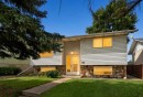 156 Dovely Crescent Se, Calgary, AB 