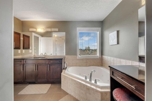 130 Brightonwoods Grove Se, Calgary, AB - Indoor Photo Showing Bathroom