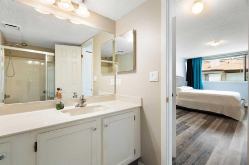 314-2425 90 Avenue Sw, Calgary, AB 