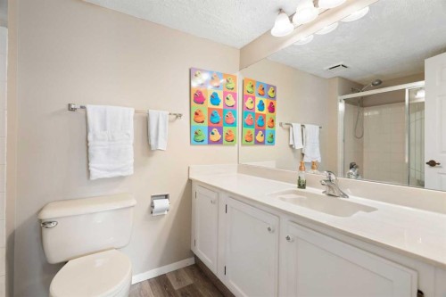 314-2425 90 Avenue Sw, Calgary, AB 
