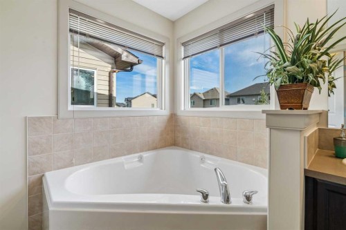 92 Skyview Shores Terrace Ne, Calgary, AB 