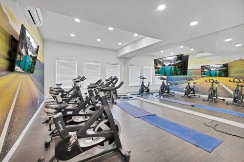 2101-76 Cornerstone Passage Ne, Calgary, AB - Indoor Photo Showing Gym Room