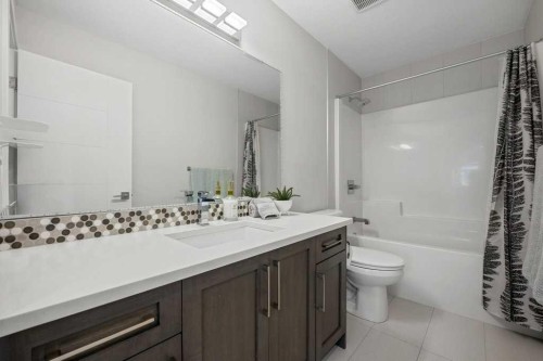 244 Sandpiper Boulevard, Chestermere, AB - Indoor Photo Showing Bathroom