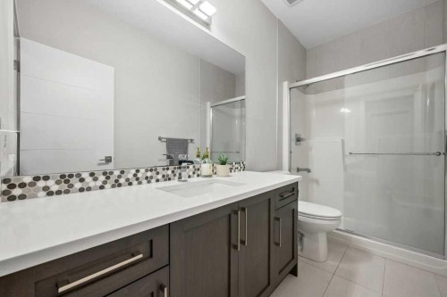 244 Sandpiper Boulevard, Chestermere, AB - Indoor Photo Showing Bathroom
