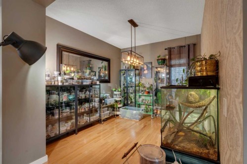 4791 Elgin Avenue Se, Calgary, AB 
