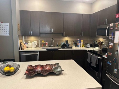 204-28 Auburn Bay Link Se, Calgary, AB 
