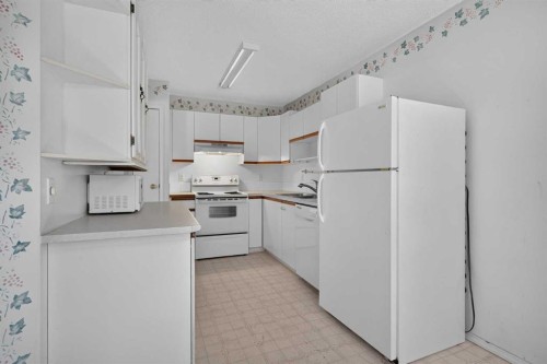 17 Sandpiper Link Nw, Calgary, AB 