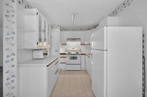 17 Sandpiper Link Nw, Calgary, AB 