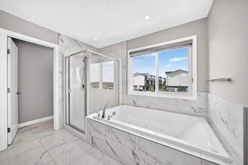 293 Red Sky Way Ne, Calgary, AB 