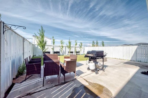 293 Red Sky Way Ne, Calgary, AB 