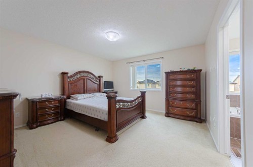 55 Skyview Springs Rise Ne, Calgary, AB 