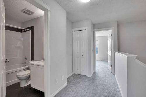 173 Skyview Springs Crescent Ne, Calgary, AB 
