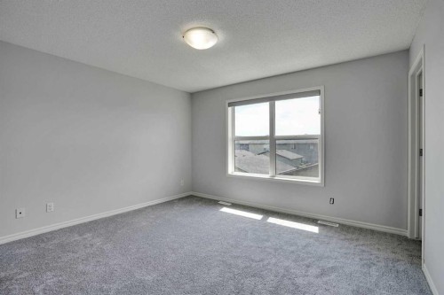 173 Skyview Springs Crescent Ne, Calgary, AB 