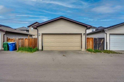 173 Skyview Springs Crescent Ne, Calgary, AB 