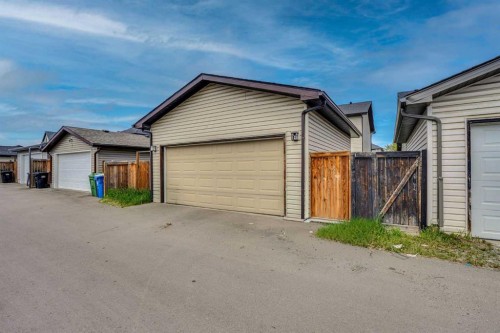 173 Skyview Springs Crescent Ne, Calgary, AB 
