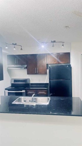 217-7180 80 Avenue Ne, Calgary, AB 