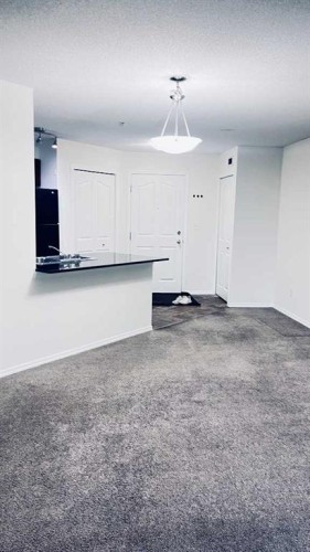 217-7180 80 Avenue Ne, Calgary, AB 
