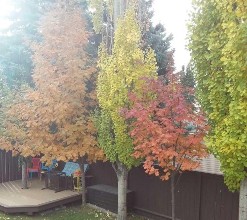 116 Queensland Place Se, Calgary, AB 