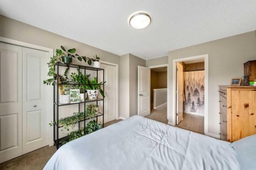 343 Walden Drive Se, Calgary, AB 