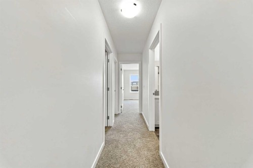 223 Savanna Way Ne, Calgary, AB 