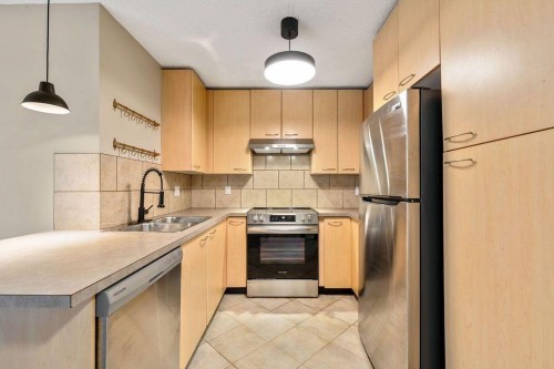 133-22 Richard Place Sw, Calgary, AB 