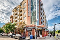 314-1110 3 Avenue NW Calgary, AB T2N 4J3