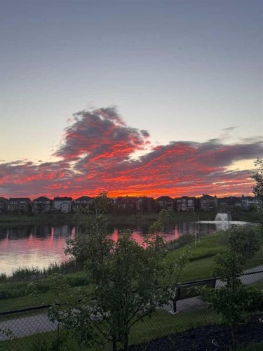 11 Panatella Gardens Nw, Calgary, AB 