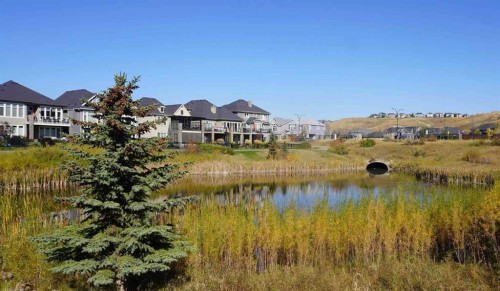 230 Cranford Park Se, Calgary, AB 