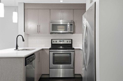 2301-302 Skyview Ranch Drive Ne, Calgary, AB 