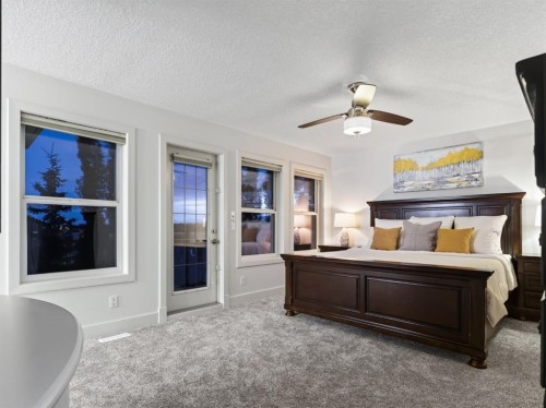 8729 14 Avenue Sw, Calgary, AB 