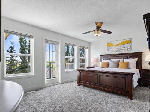 8729 14 Avenue Sw, Calgary, AB 